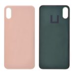 Back Glass Cover with Adhesive for iPhone XS - Gold(No Logo/ Big Hole)